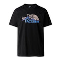 THE NORTH FACE T SHIRT