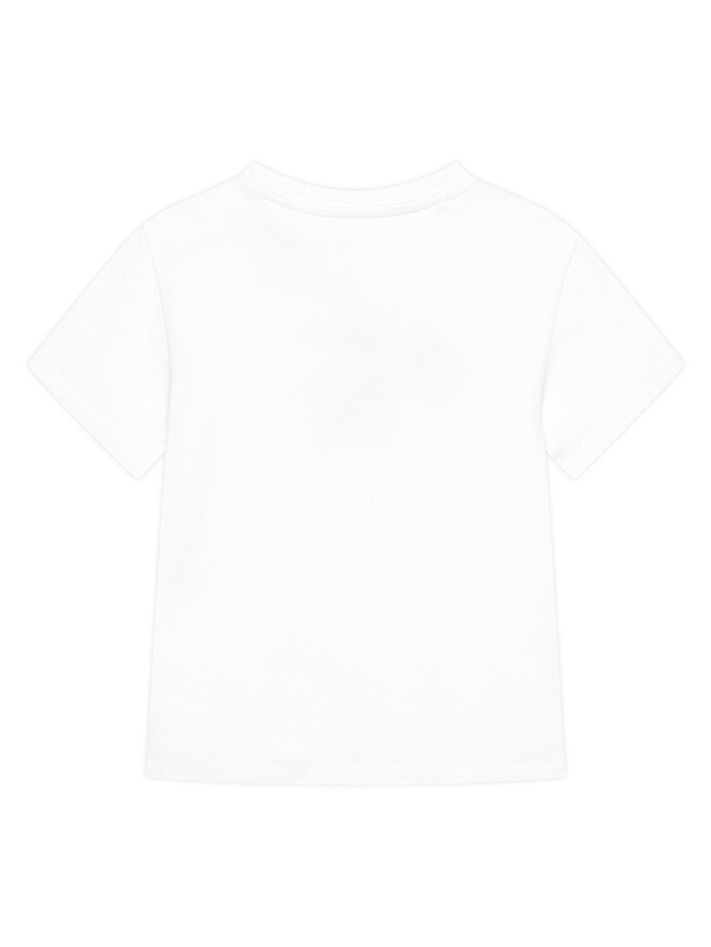 IN0IN00336/BEH CALVIN KLEIN