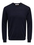 ONLY&SONS ONSWYLER LIFE REG 14 LS CREW KNIT NOOS