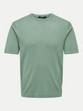 ONLY&SONS ONSWYLER LIFE REG 14 SS KNIT NOOS