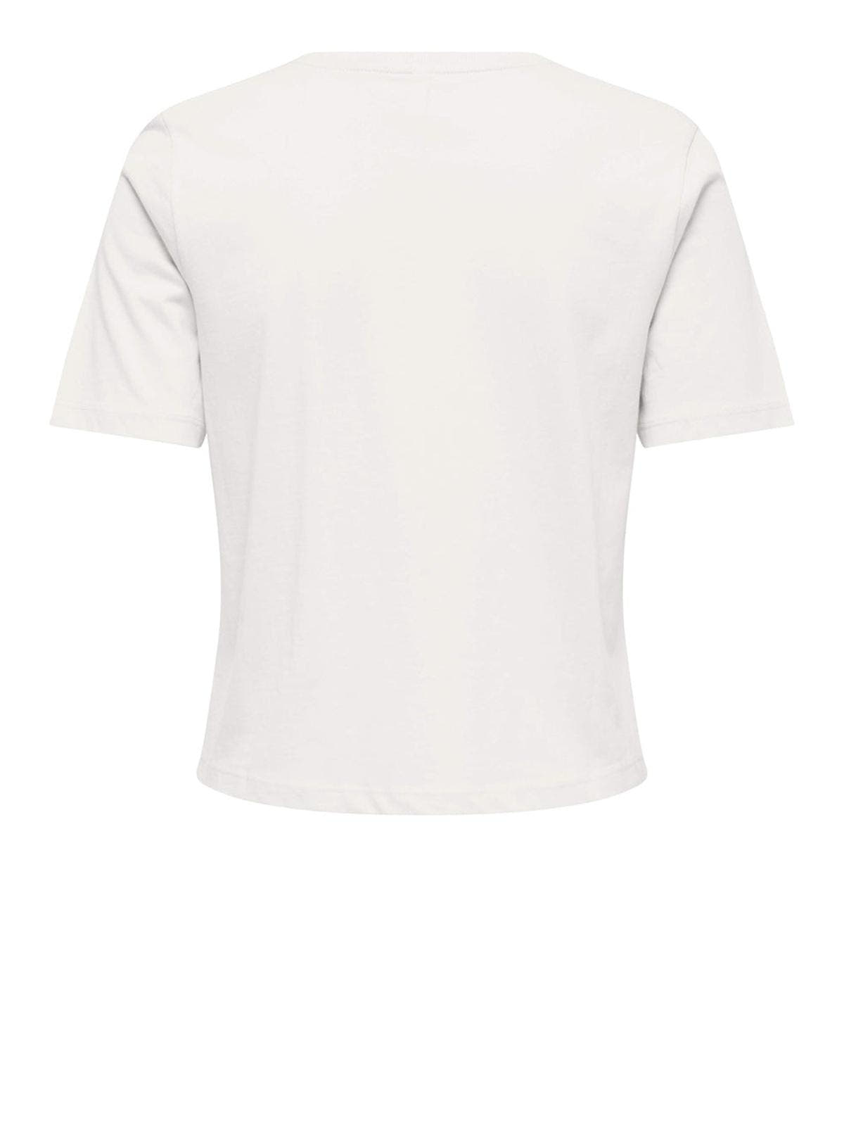 15372088/Cloud Dancer Shell neckline ONLY
