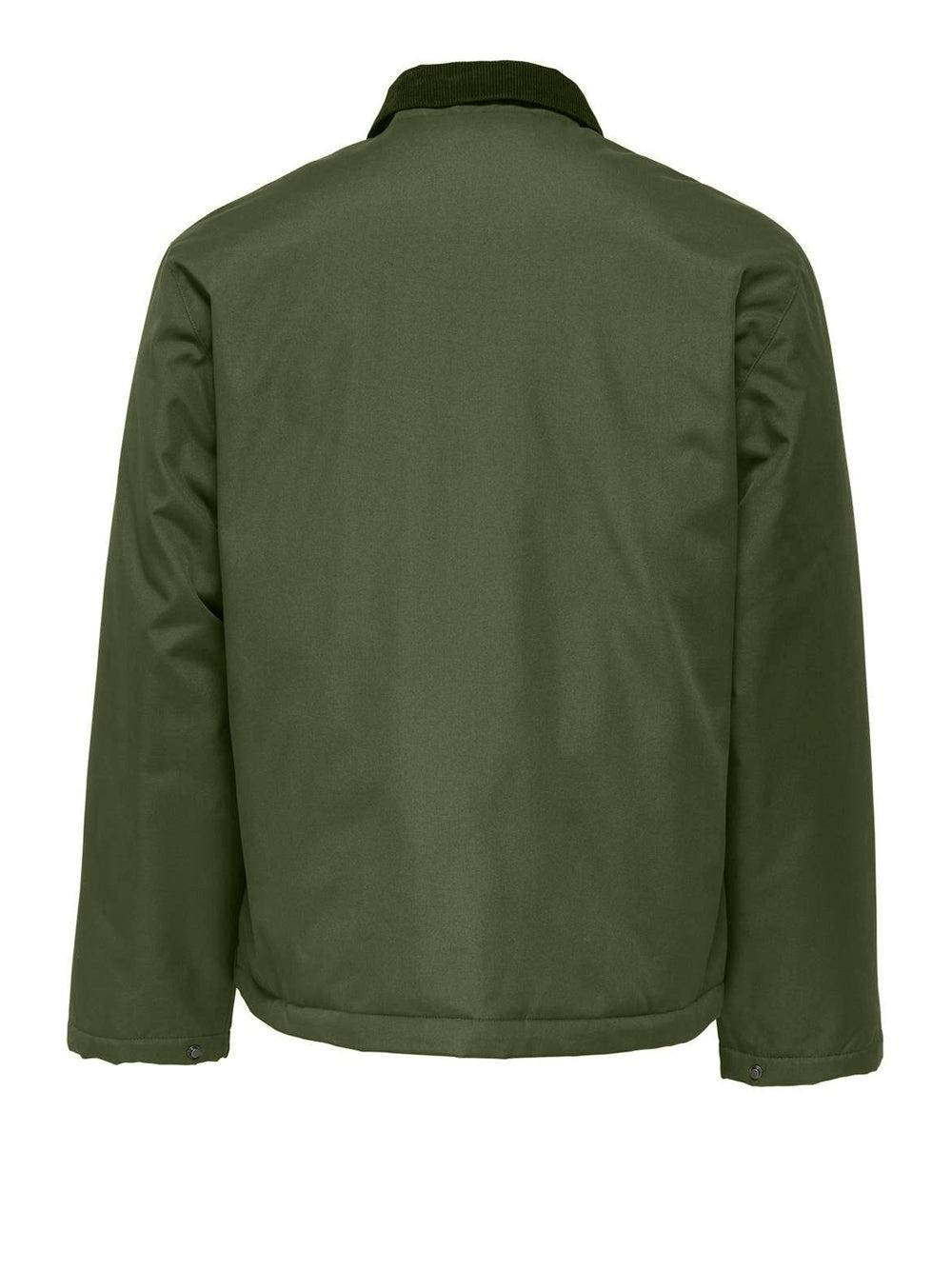 22034856/Olive Night ONLY&SONS