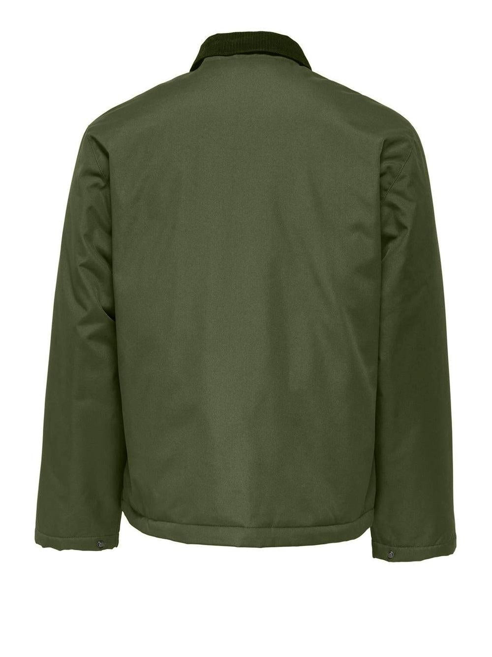 22034856/Olive Night ONLY&SONS