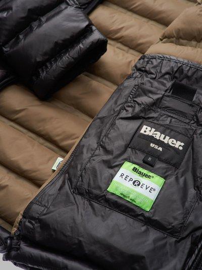 24WBLDC02064 006100/999 BLAUER