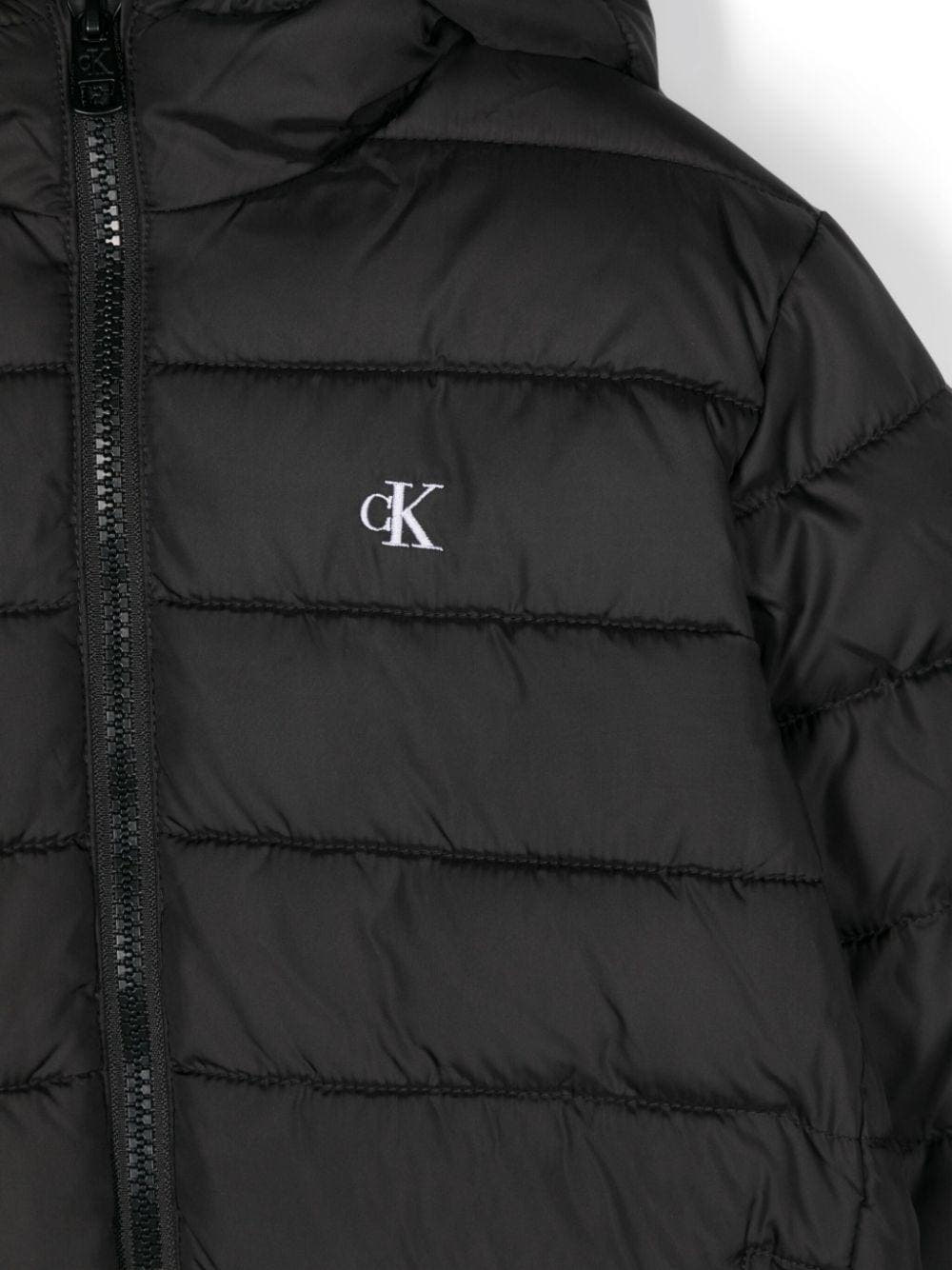 IB0IB02174J/BEH CALVIN KLEIN