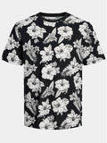 12249188/Black JACK AND JONES