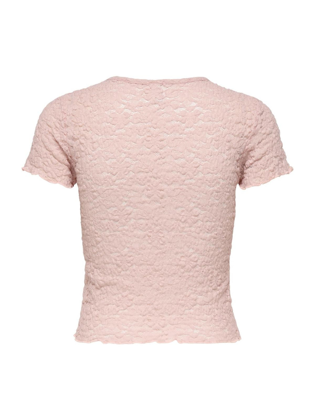 15371798/Sepia Rose ONLY