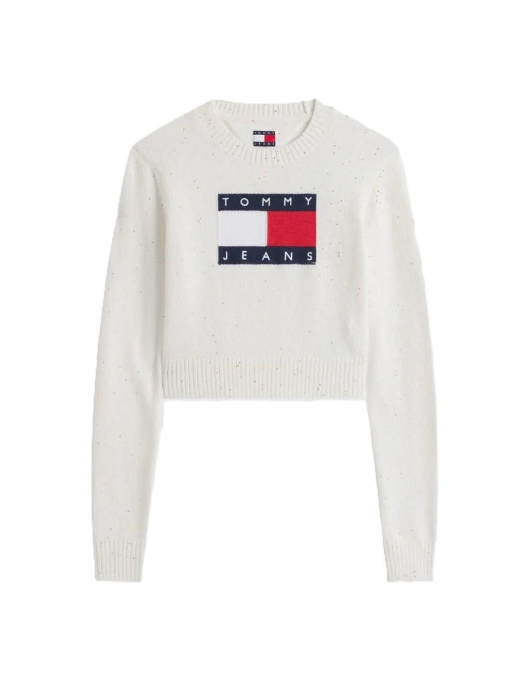 DW0DW21690/YBH TOMMY JEANS