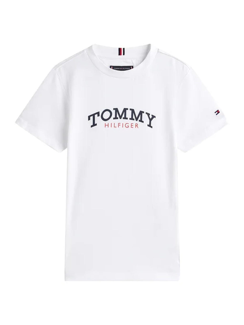 KB0KB10290J/YBR TOMMY HILFIGER