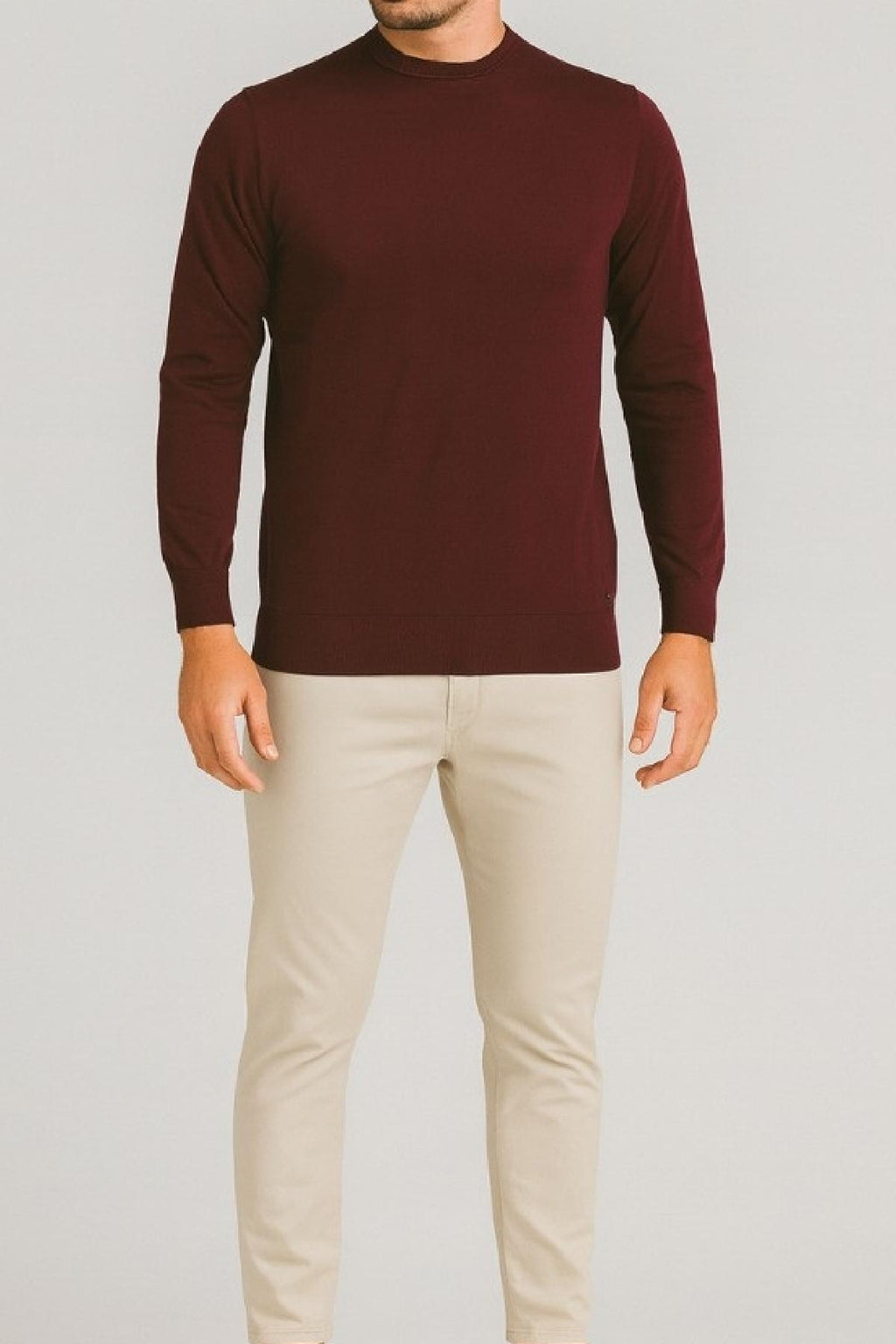 MK20010/TORTORA MARKUP