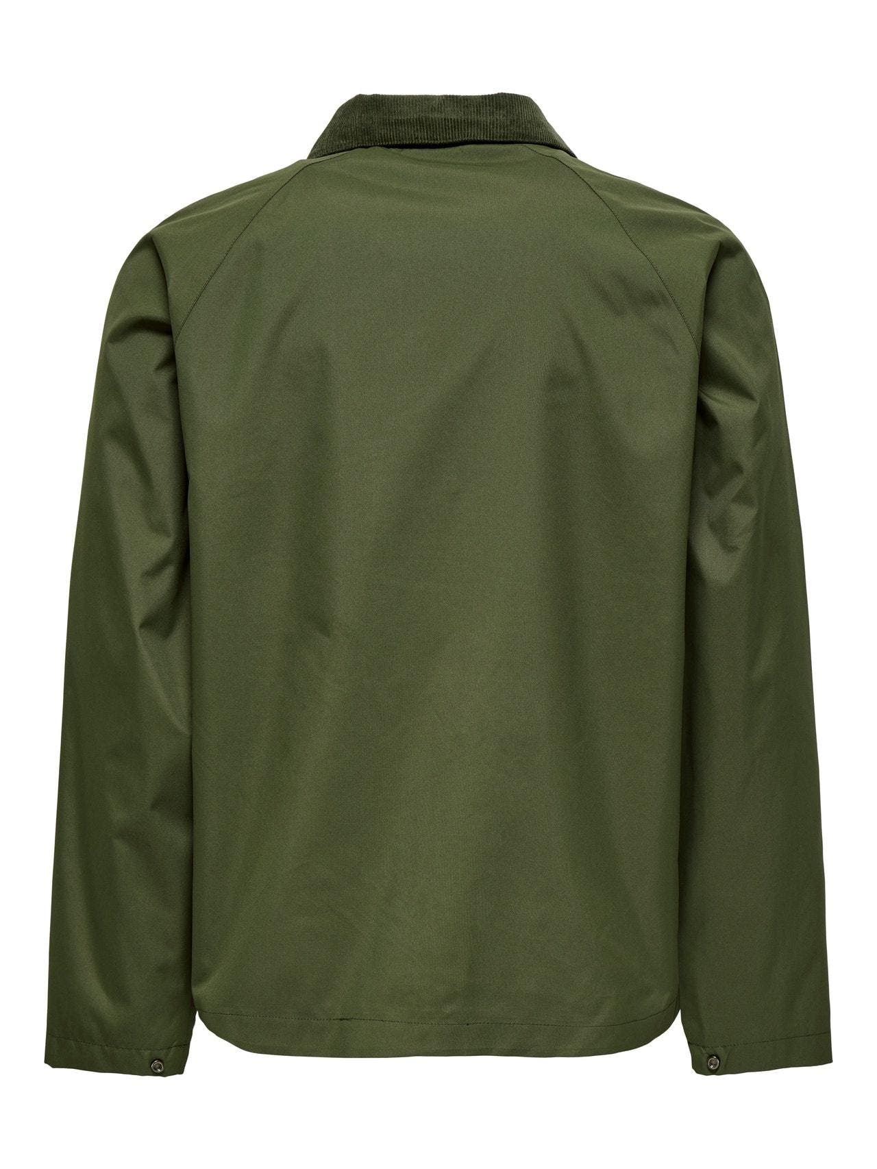 22031626/Olive Night ONLY&SONS