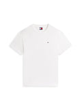TOMMY JEANS TJM REG SFLAG SS TEE