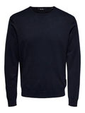 ONLY&SONS ONSWYLER LIFE REG 14 LS CREW KNIT NOOS