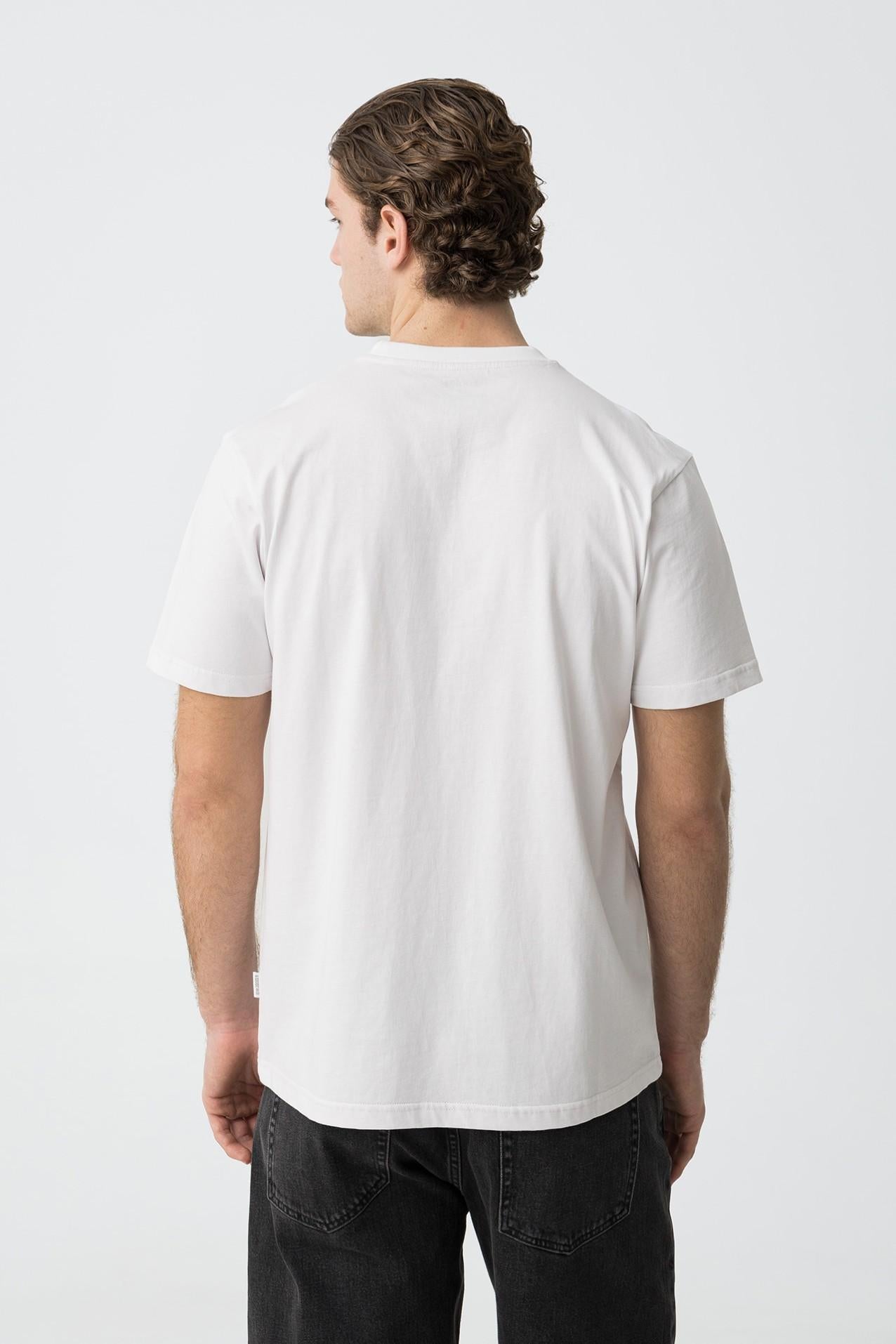 10060041/001 TIFFOSI