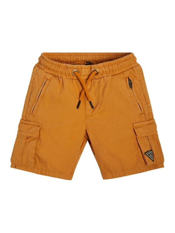CARGO SHORTS_CORE N2RD01D3XN0/G1FS GUESS
