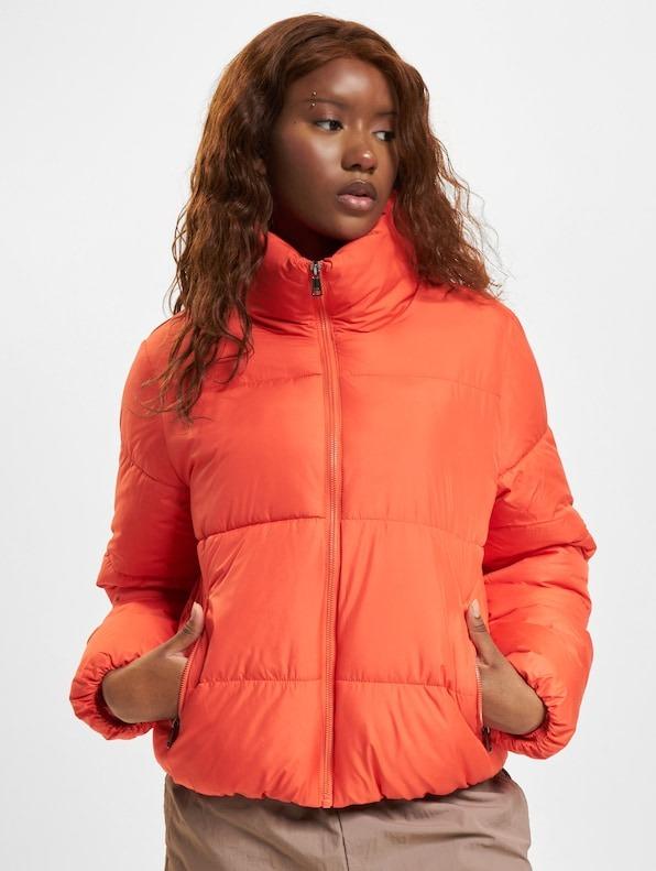 15323230/Fiesta ONLY