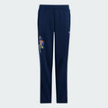 FIREBIRD PANTS      NINDIG 
