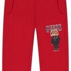 N5BQ12KAD74/G532 GUESS