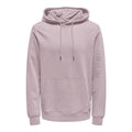 22031915/Violet Ice ONLY&SONS