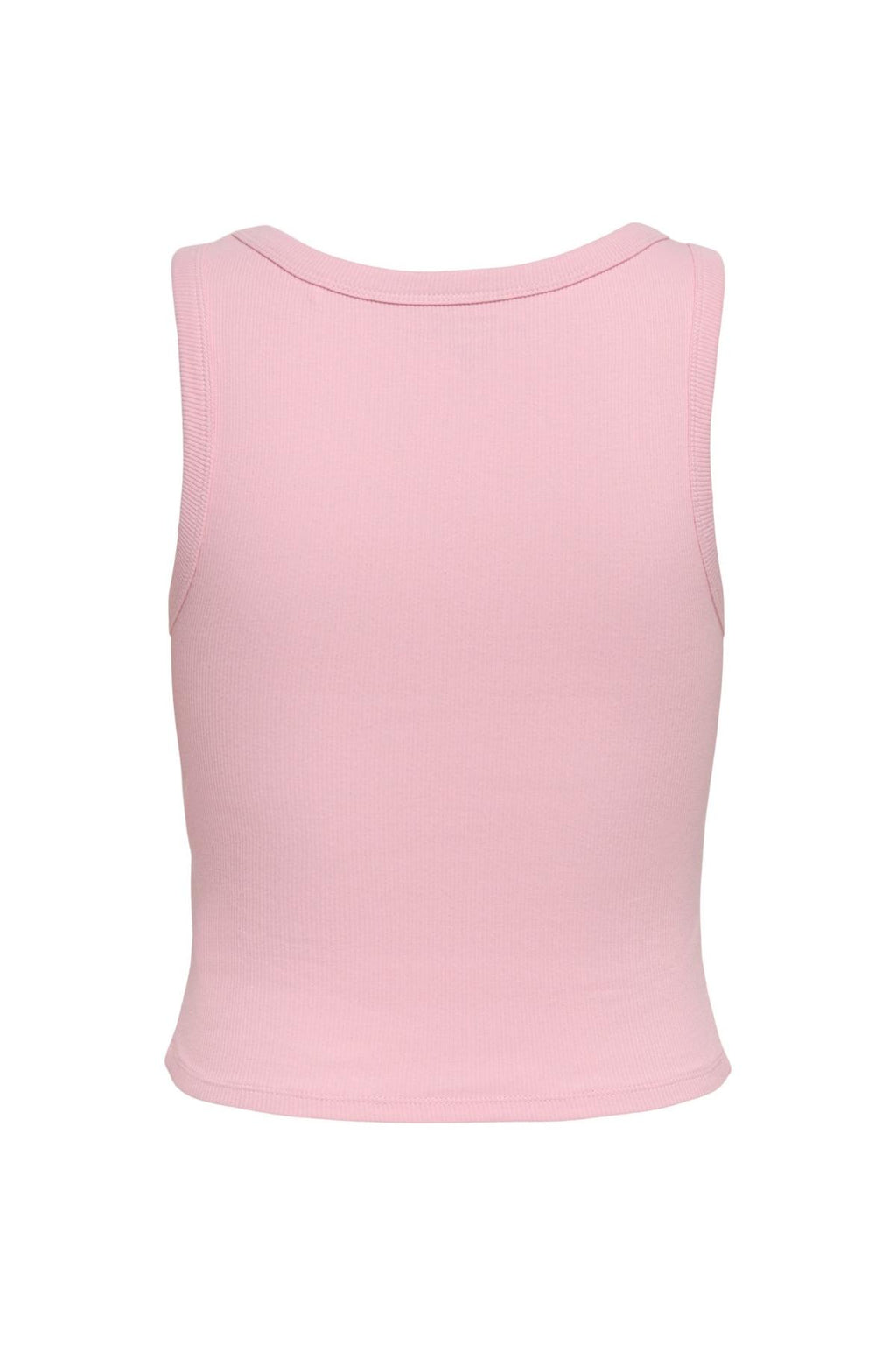 15315571/Romance Rose ONLY