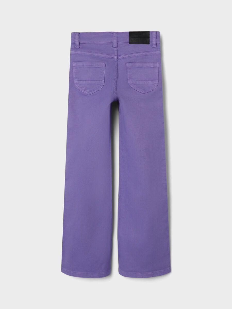 13220984/Aster Purple NAME.IT