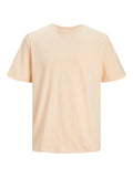 JACK AND JONES JJEORGANIC BASIC TEE SS O-NECK NOOS