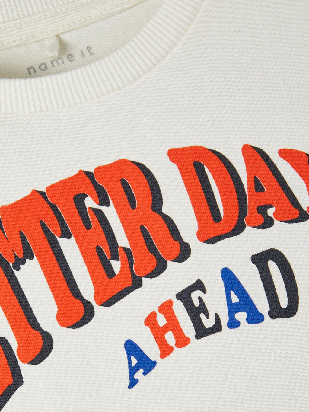 13212908/White Alyssum NAME.IT