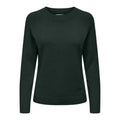 ONLRICA LIFE L/S PULLOVER KNT NOOS
