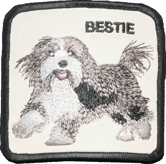 THE BESTIE DOG 101-1782/BLK-O/S GOORIN BROS