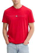 TOMMY JEANS TJM REG FLAG LINEAR