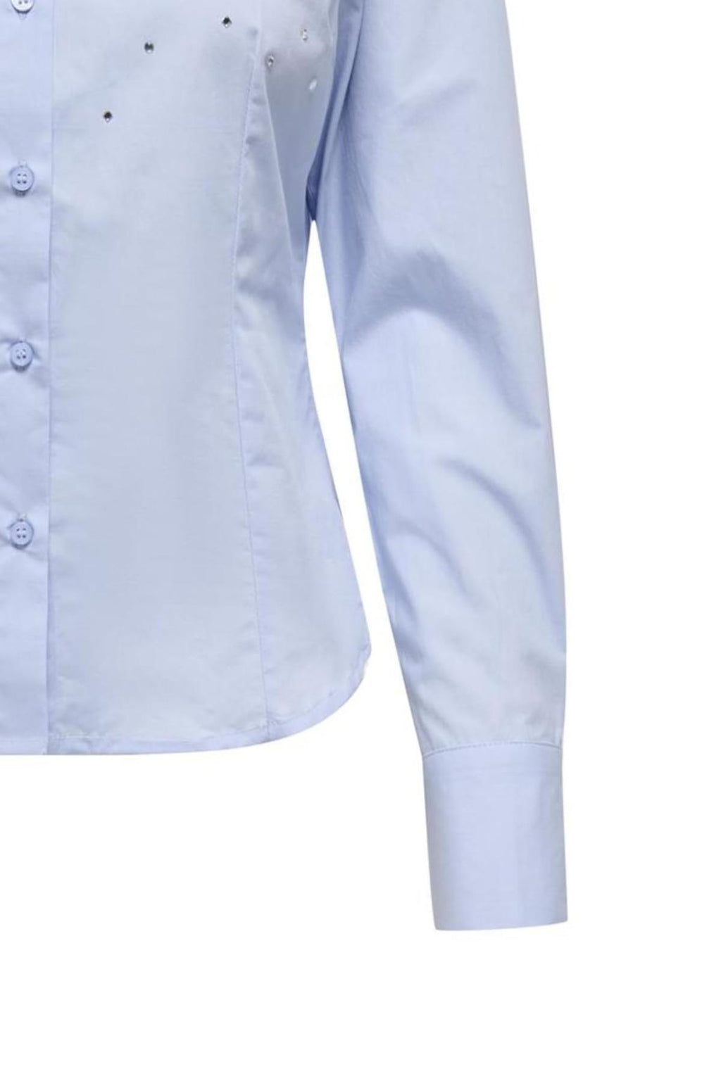 15366704/Brunnera Blue ONLY