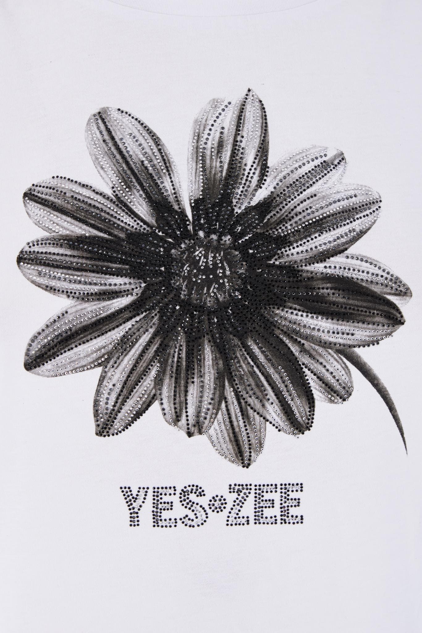 T239 JXJJ/0101 YES ZEE