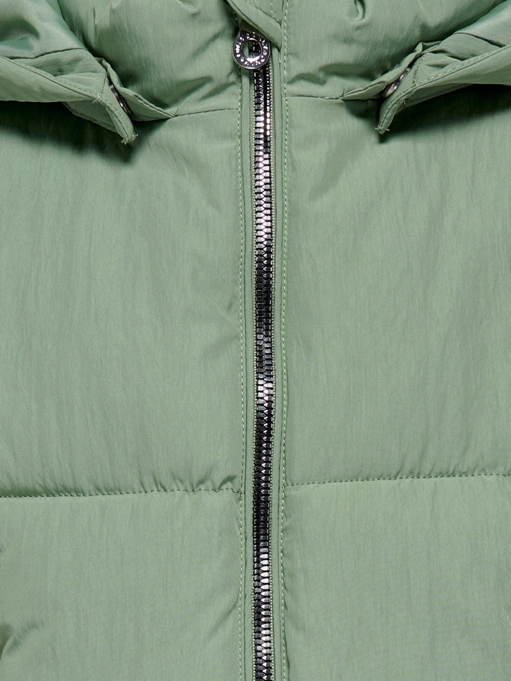 15278591/HEDGE GREEN ONLY KIDS