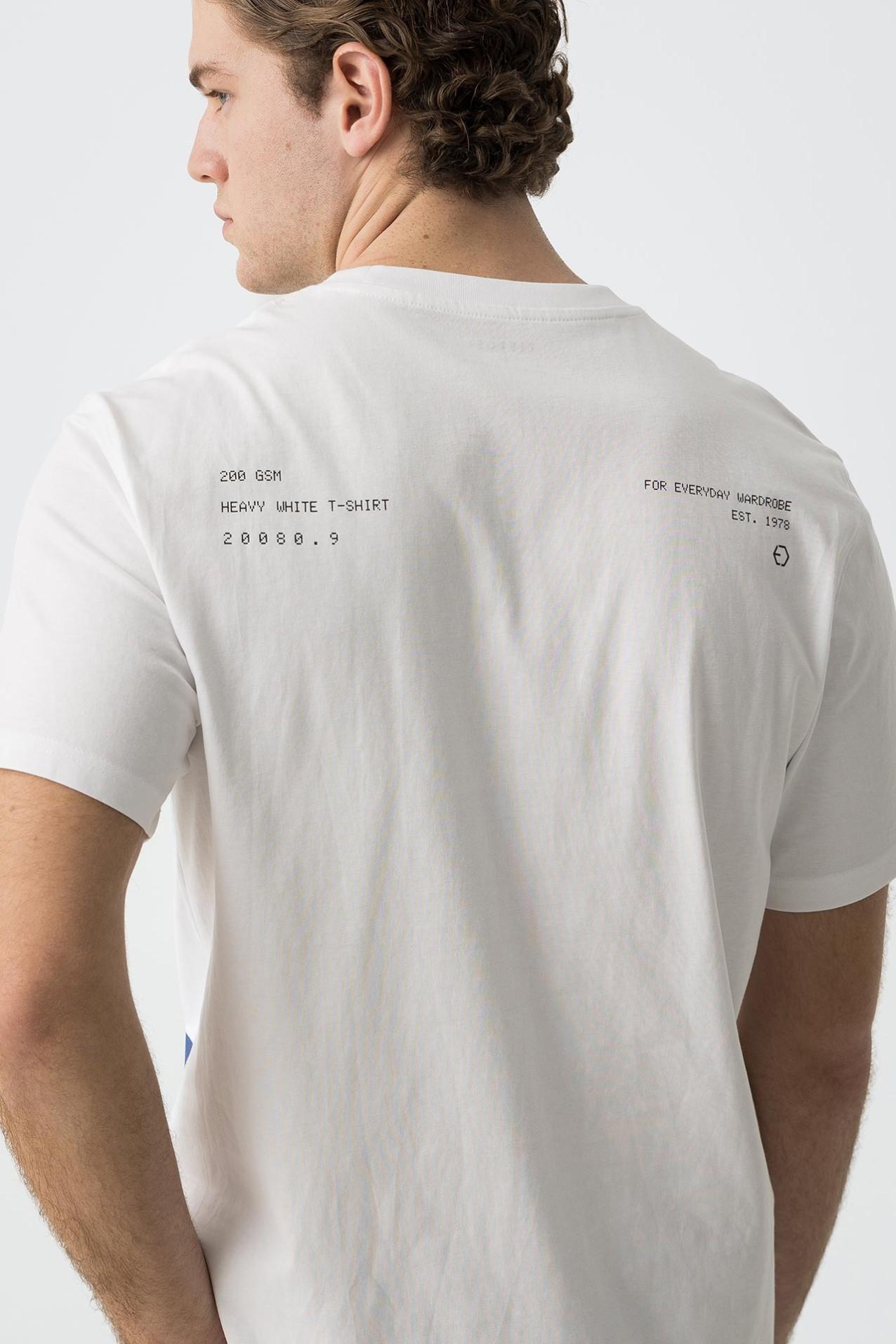 10060031/001 TIFFOSI