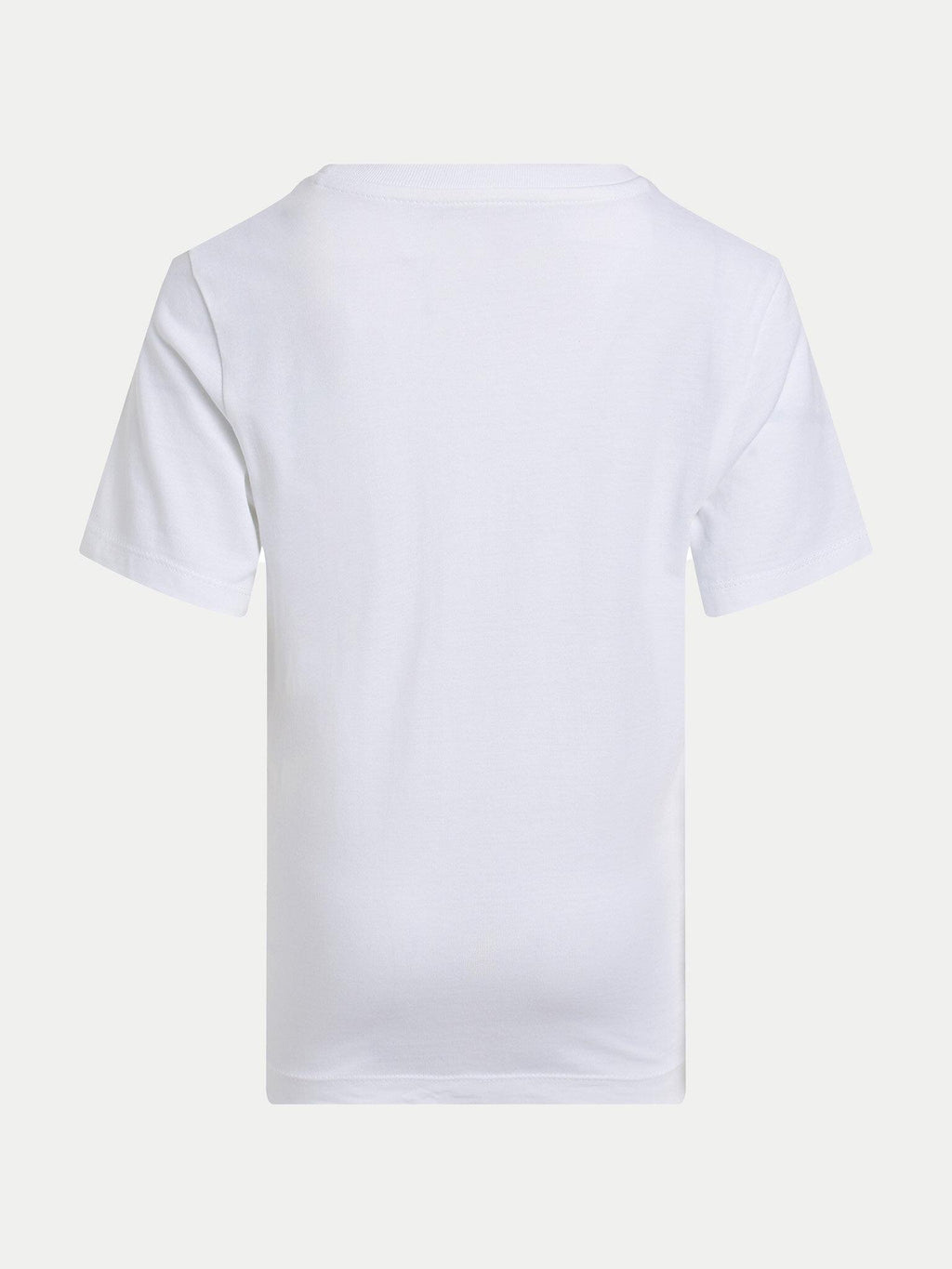 IB0IB02456T/YAF CALVIN KLEIN