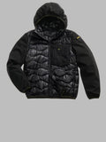BLAUER ALBERT