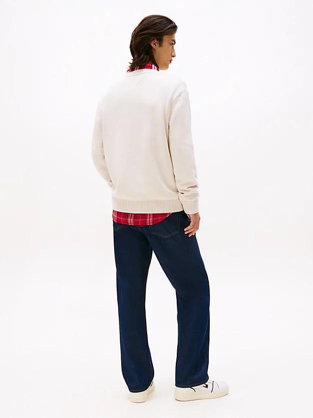 DM0DM22105/AFN TOMMY JEANS