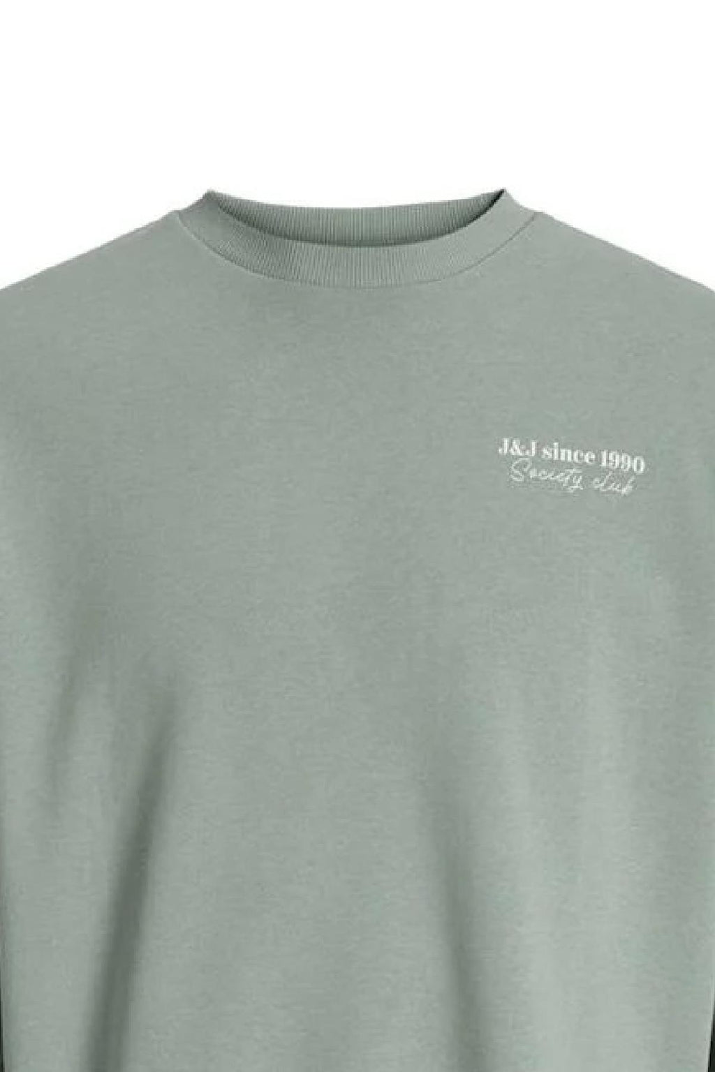 12280711/Iceberg Green JACK AND JONES