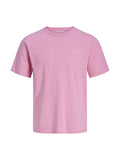 JACK AND JONES JJCOLLEGE LOGO TEE SS CREW NECK