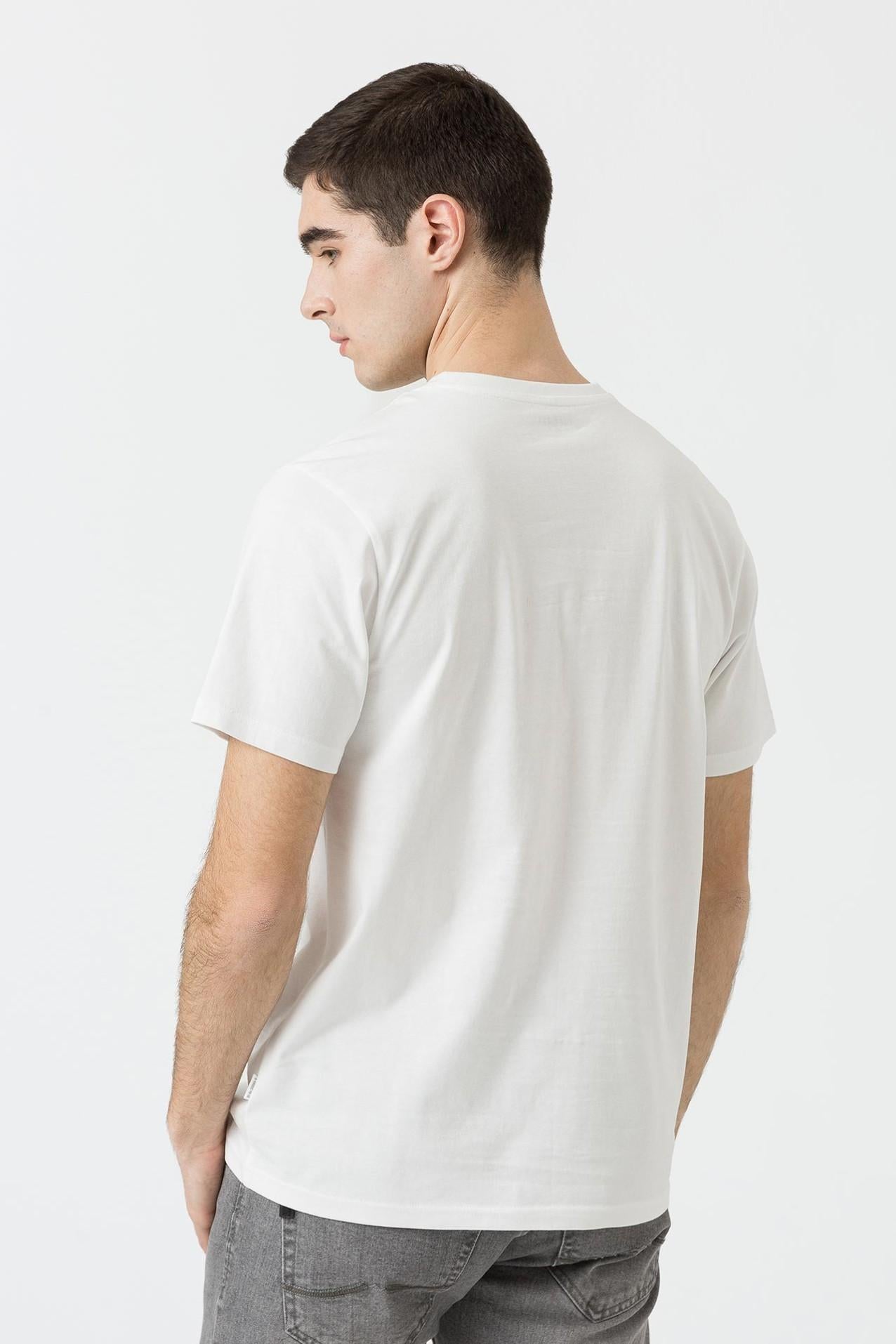 10060044/001 TIFFOSI