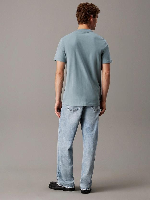 HEAVY REGULAR TEE J30J326683/PC2 CALVIN KLEIN JEANS