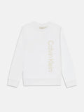 IB0IB02564T/YAF CALVIN KLEIN
