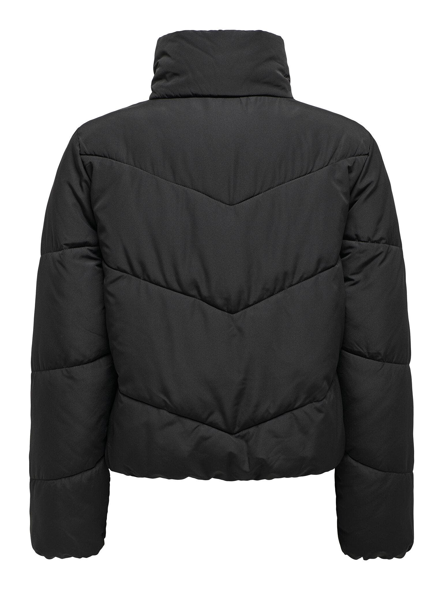 15308639/Black ONLY