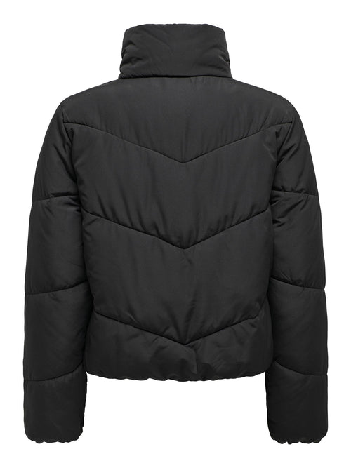 15308639/Black ONLY