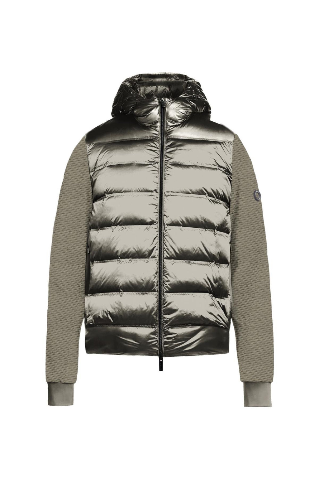 MK794039/TORTORA MARKUP