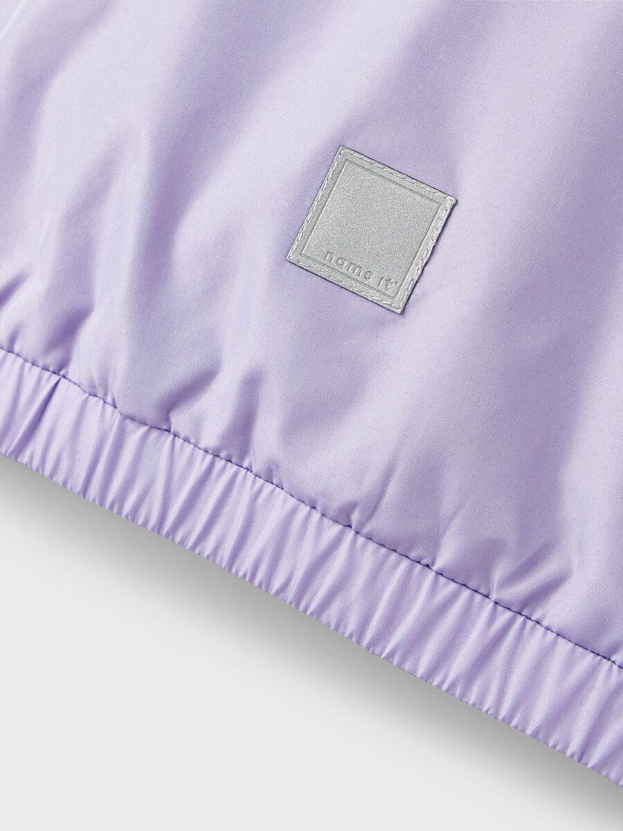 13211763/Sand Verbena NAME.IT