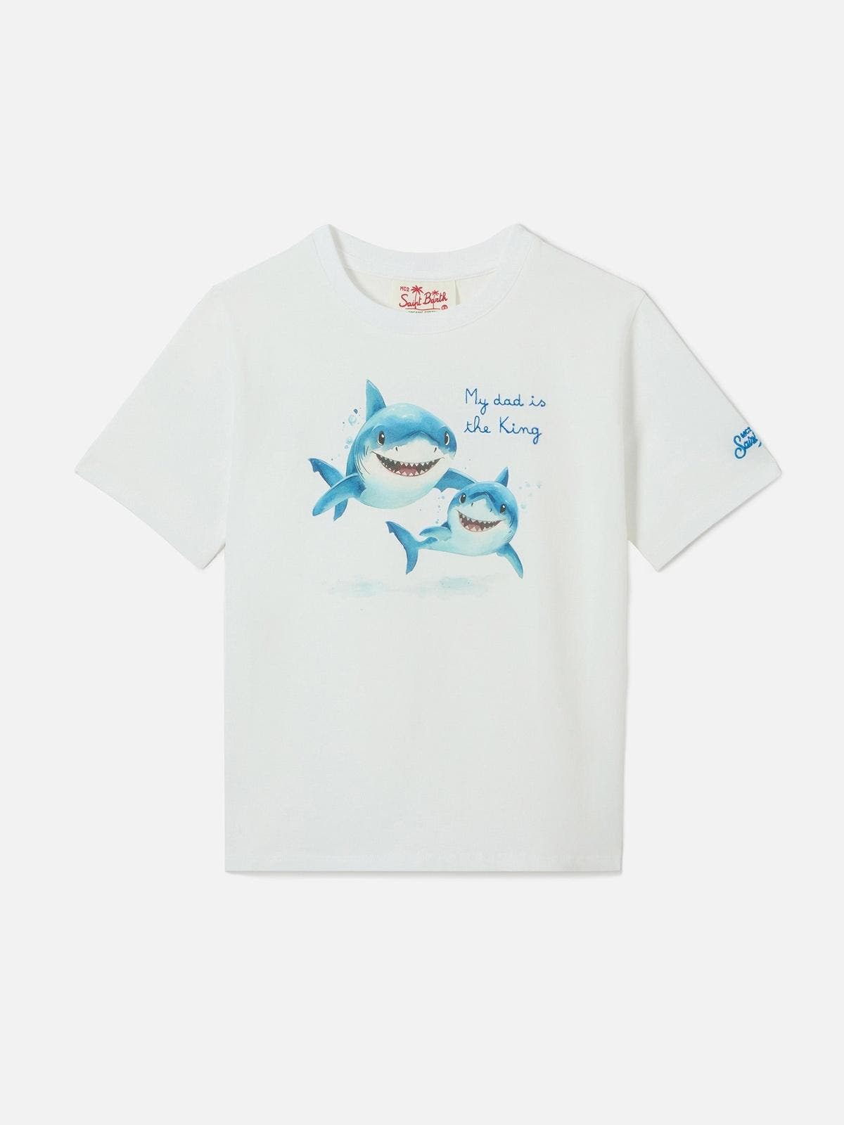 DNV0001-00161L/00161L MC2 SAINT BARTH