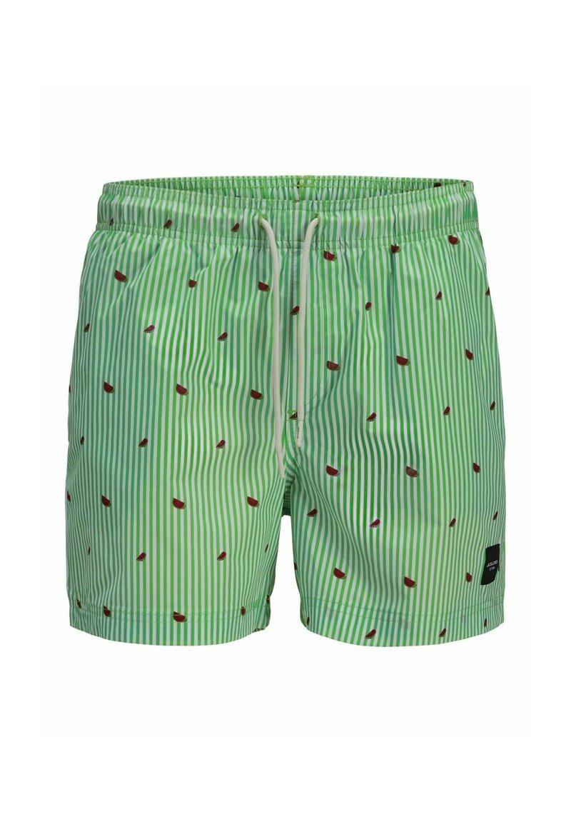 12272933/Summer Green JACK AND JONES