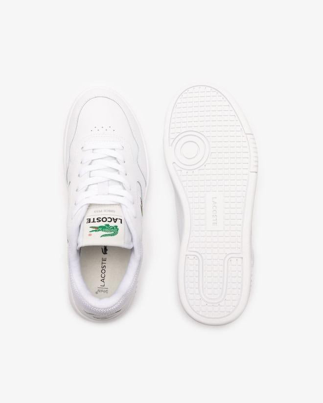 LINESET 223 1 SMA 