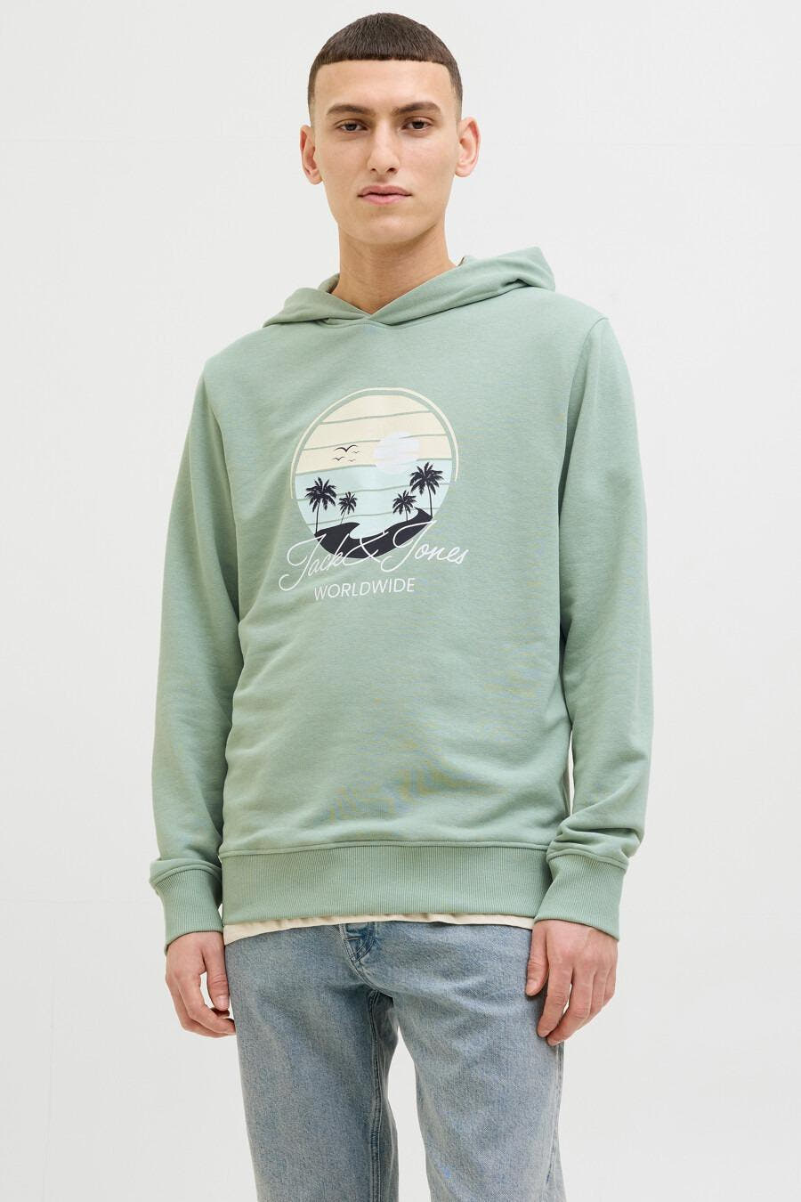 12269420/Iceberg Green JACK AND JONES